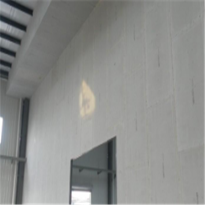 醴陵新型建筑材料掺多种工业废渣的ALC|ACC|FPS模块板材轻质隔墙板